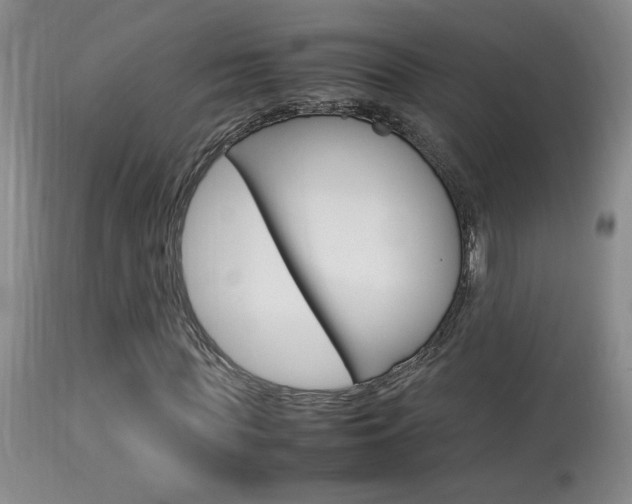 X0000113930819200909250913