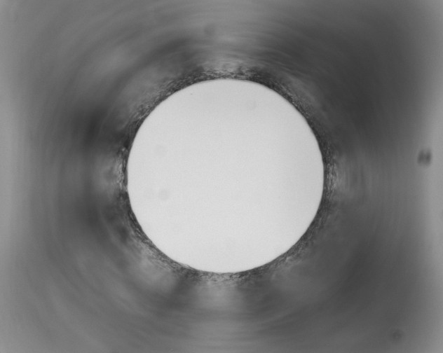X0000113930820200909250913