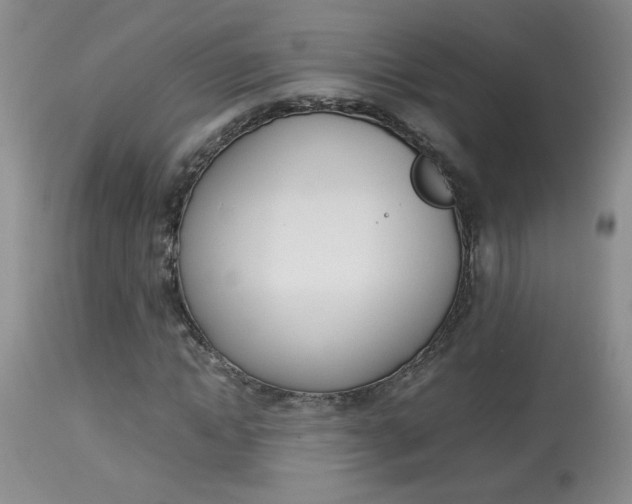 X0000113930822200909250913