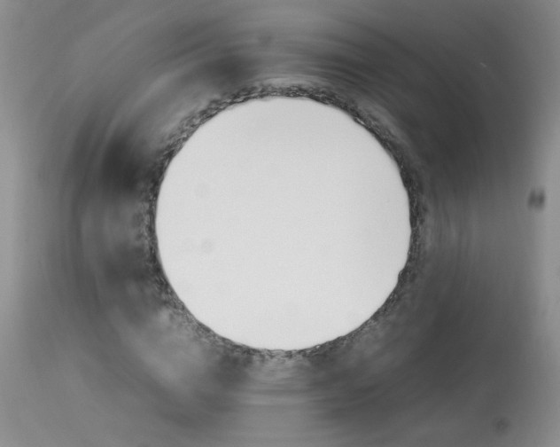 X0000113930824200909250913