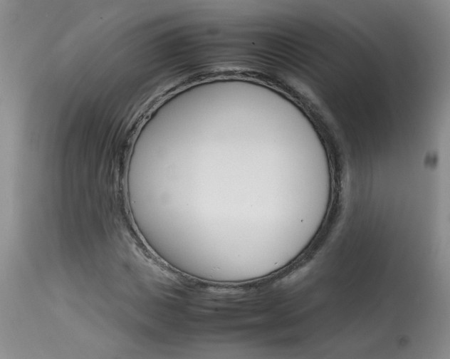 X0000113930825200909250913