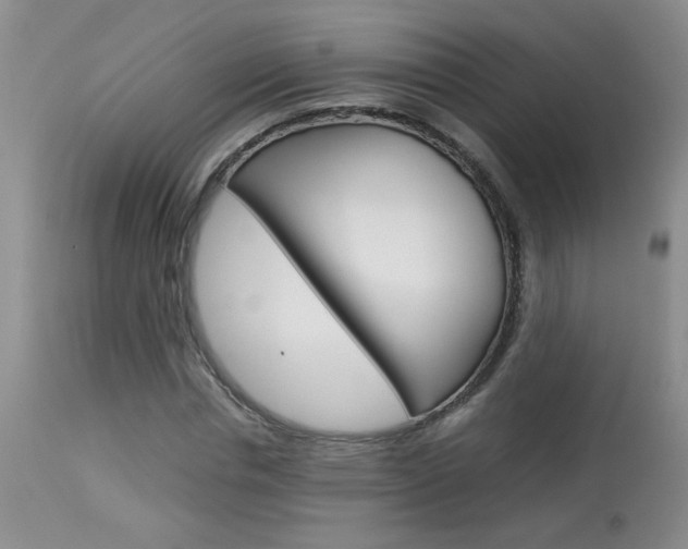 X0000113930826200909250913