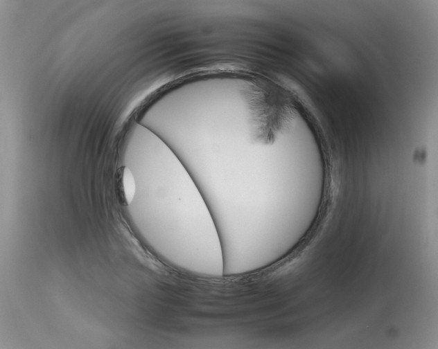 X0000113930827200909250913