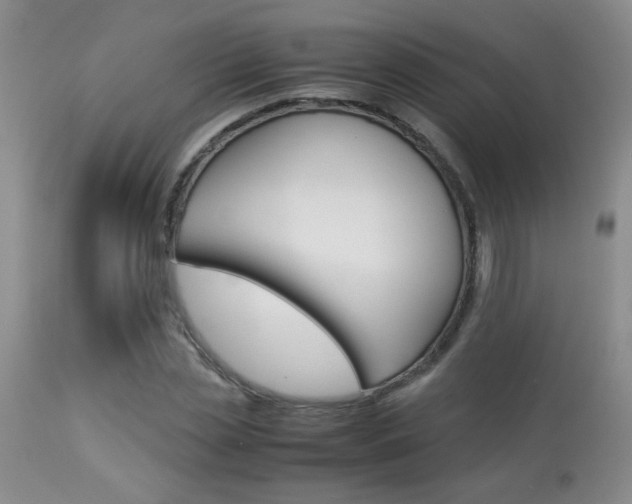 X0000113930829200909250913