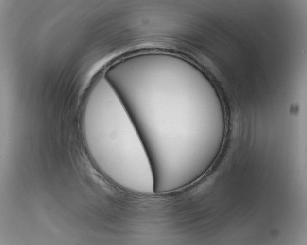 X0000113930830200909250914