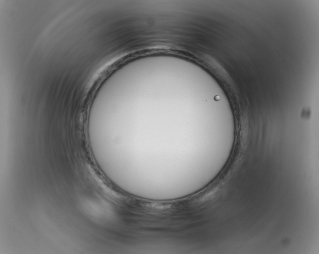 X0000113930831200909250914
