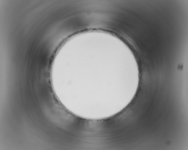 X0000113930832200909250914