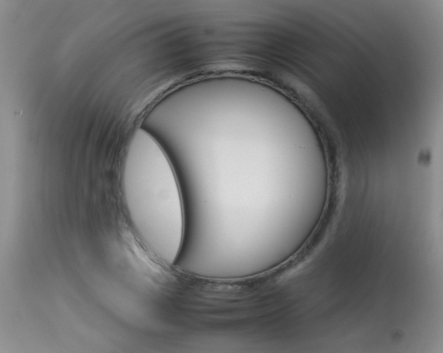 X0000113930833200909250914