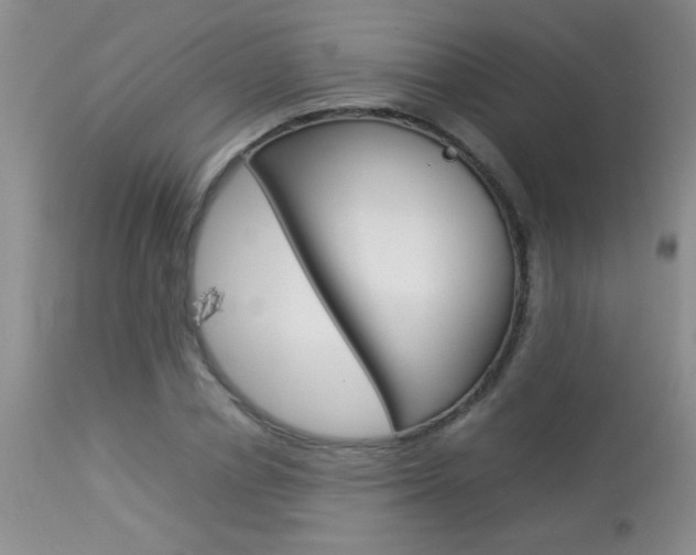X0000113930834200909250914