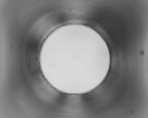 X0000113930836200909250914