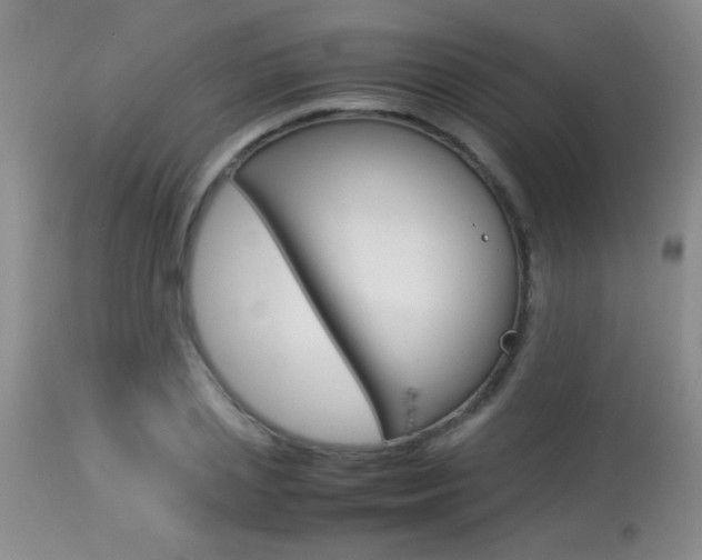 X0000113930837200909250914