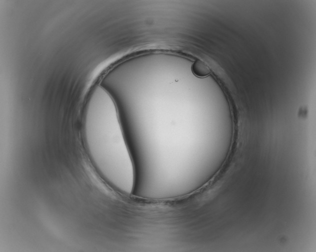 X0000113930838200909250914