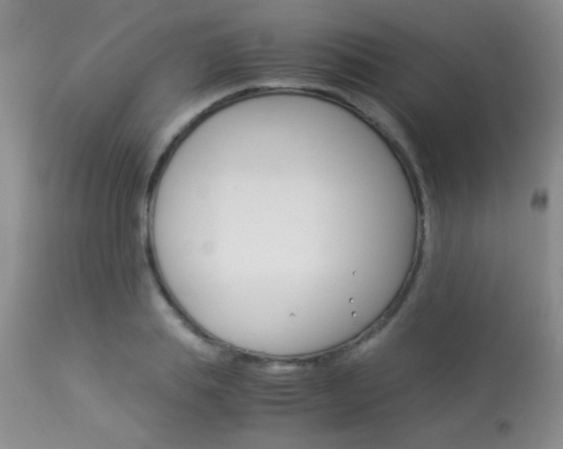 X0000113930839200909250914