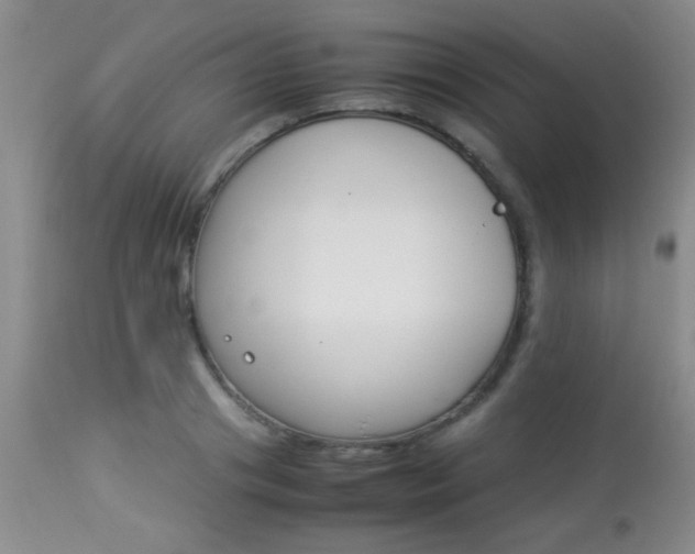 X0000113930841200909250914