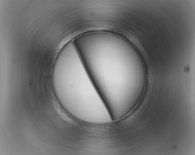 X0000113930842200909250914