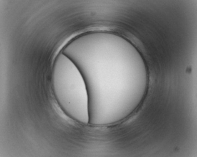 X0000113930844200909250914