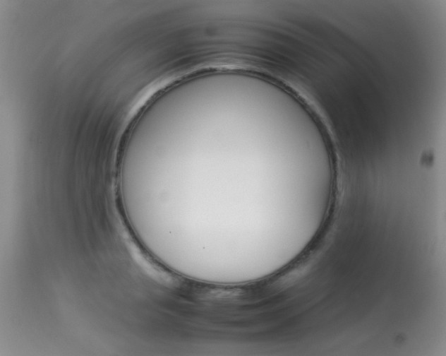 X0000113930845200909250914