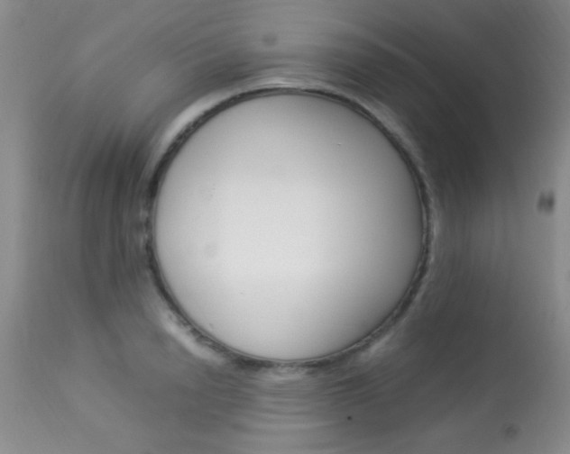 X0000113930846200909250914