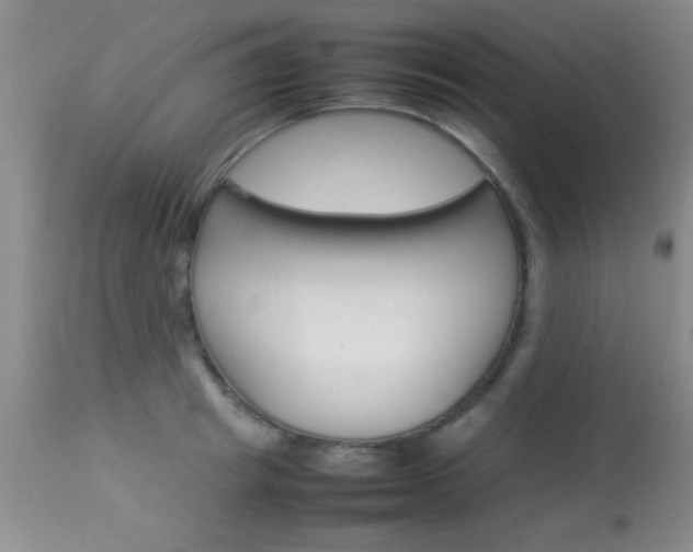 X0000113930849200909250914