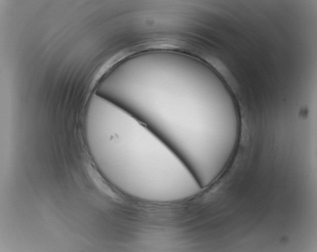 X0000113930850200909250914