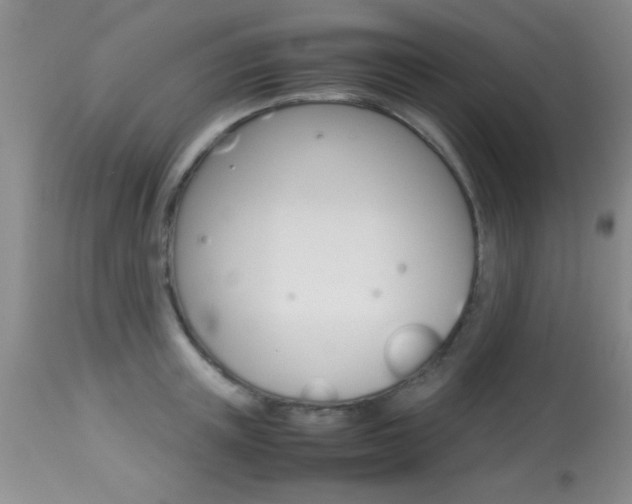 X0000113930851200909250914