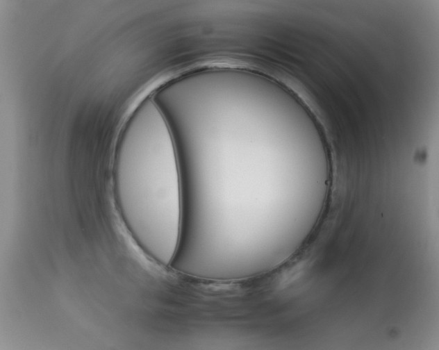 X0000113930853200909250914