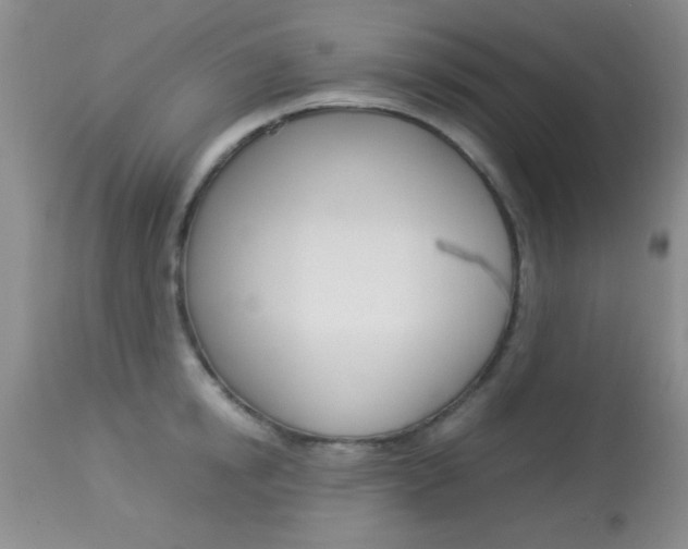 X0000113930854200909250914