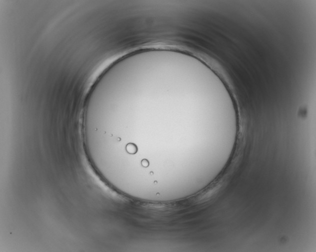 X0000113930855200909250914