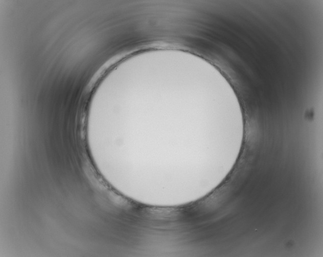 X0000113930856200909250914