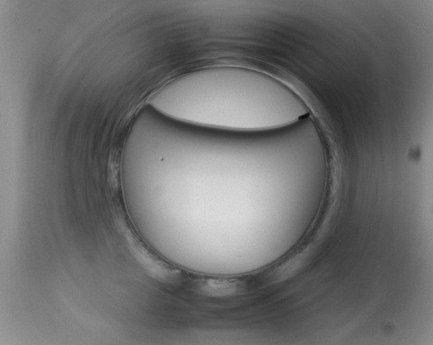 X0000113930857200909250914