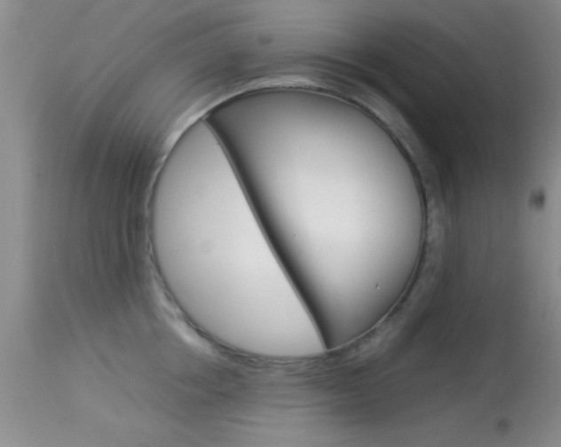 X0000113930858200909250914