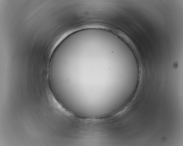 X0000113930860200909250914