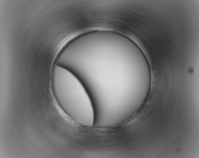 X0000113930861200909250914