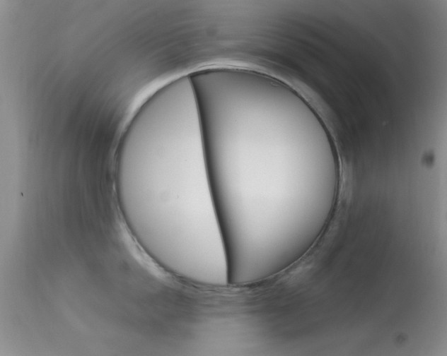 X0000113930862200909250914