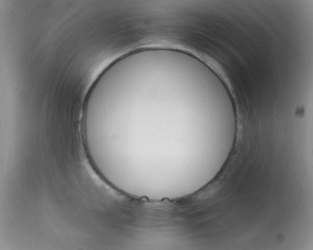 X0000113930863200909250914