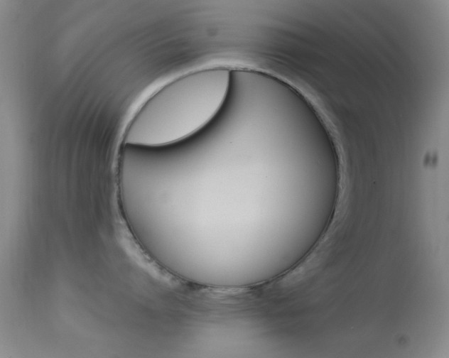 X0000113930864200909250914