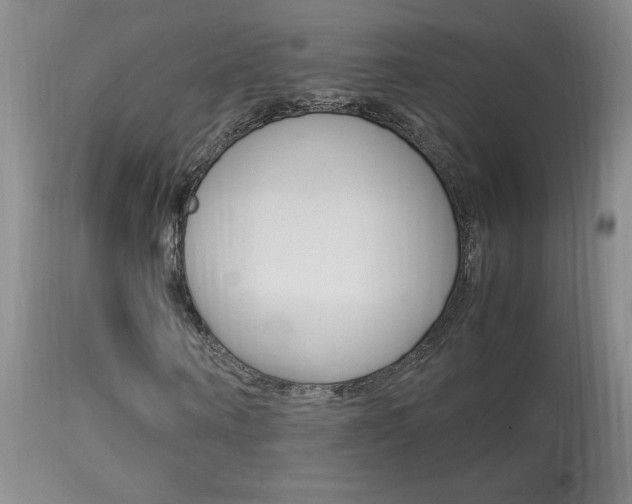 X0000113930866200909250913