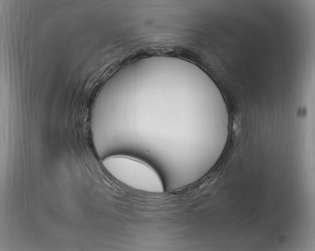 X0000113930867200909250913