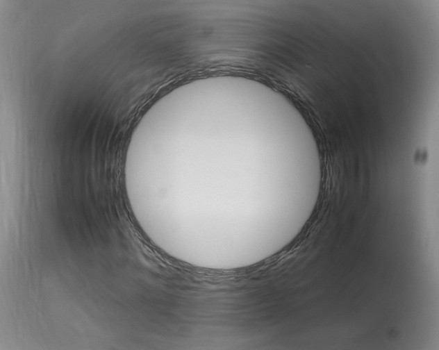 X0000113930868200909250913