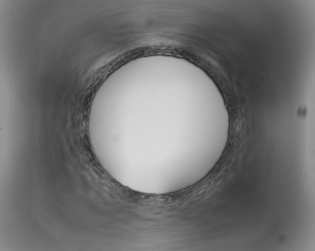 X0000113930869200909250913