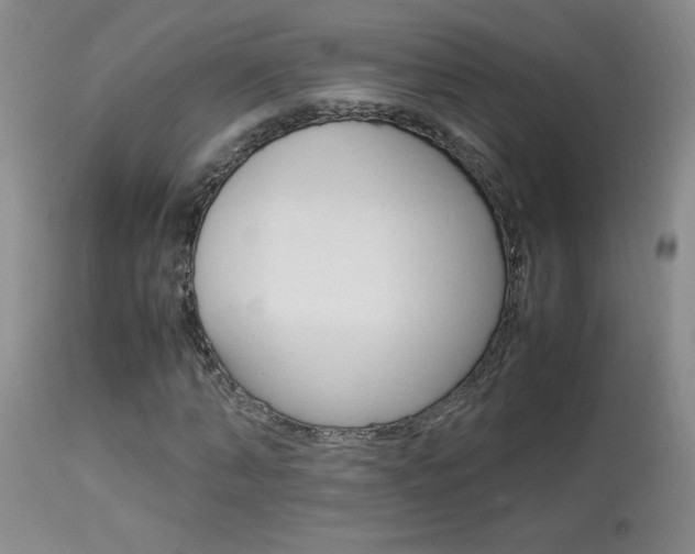 X0000113930870200909250913