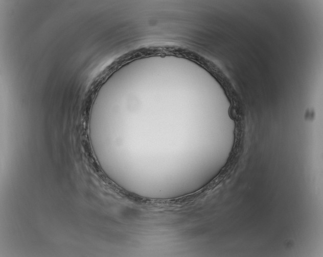 X0000113930871200909250913