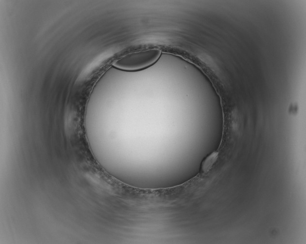 X0000113930872200909250913