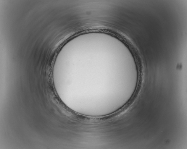 X0000113930873200909250913