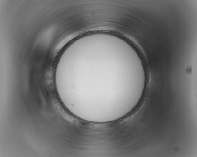 X0000113930874200909250913