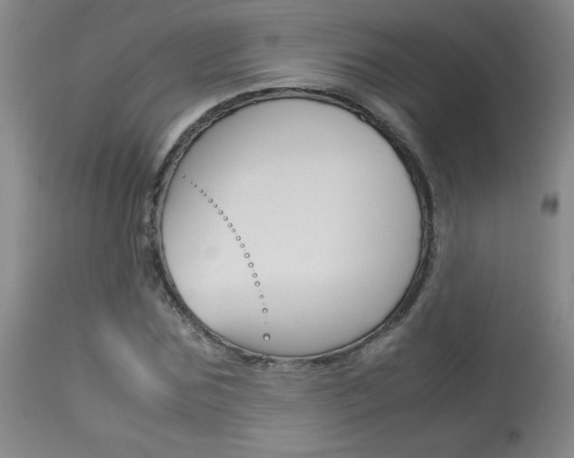 X0000113930875200909250913