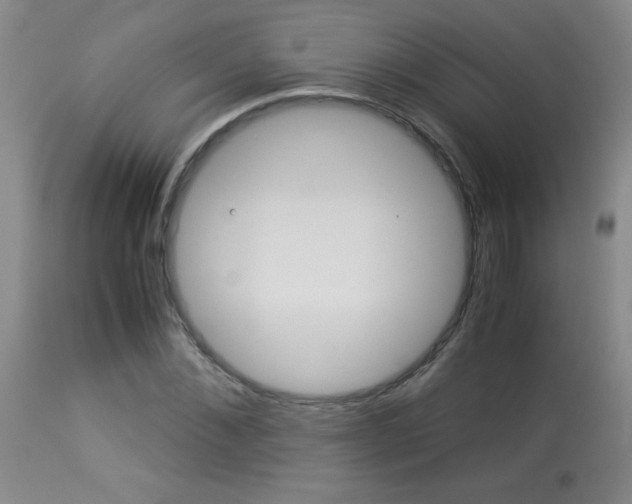X0000113930876200909250913