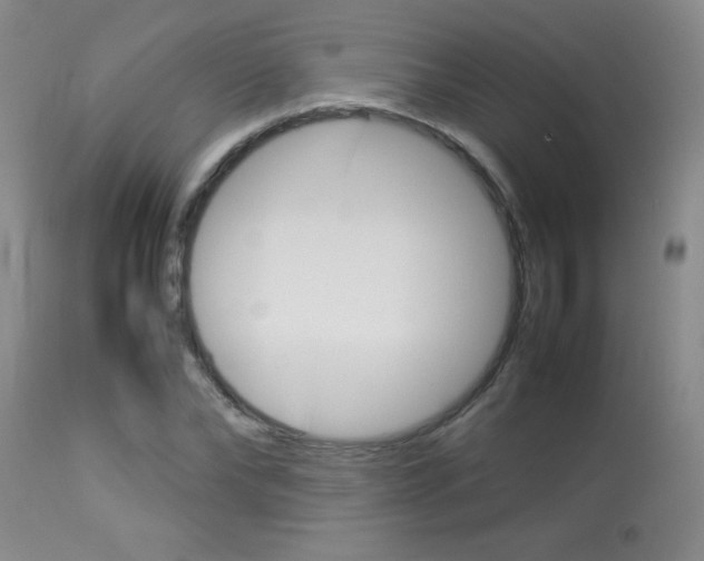 X0000113930878200909250913