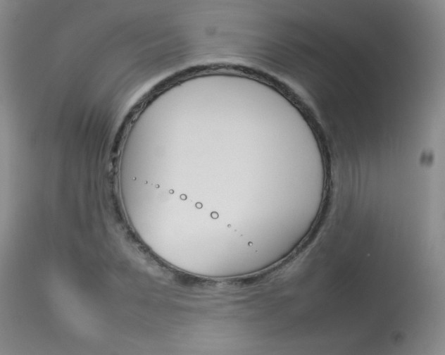 X0000113930879200909250913