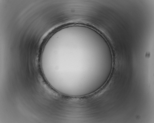 X0000113930880200909250913